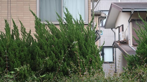 20230513174338_IMG_8320