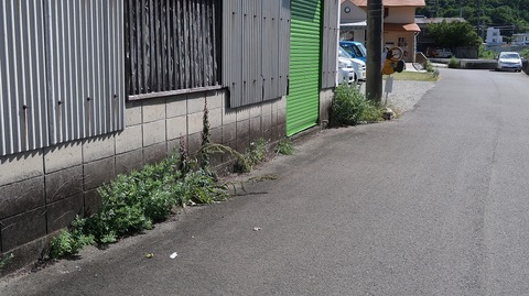 20220702155942_IMG_4891