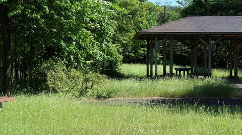 20190616152708_IMG_2605