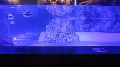 20220730190438_IMG_5315