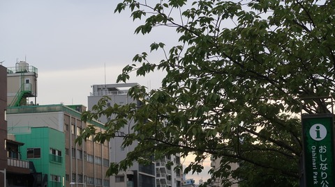 IMG_2588
