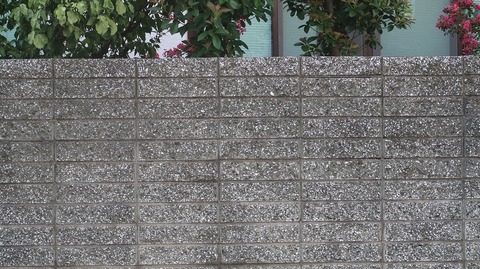 20230811171550_IMG_9069