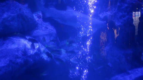 20220730185625_IMG_5312