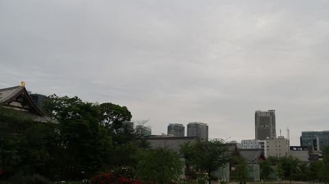 20220508181415_IMG_4232