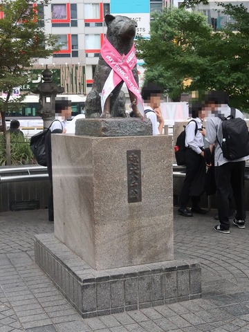 20231001080508_IMG_9425