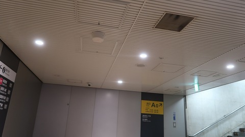 20231203133712_IMG_0751