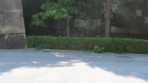 20220731151017_IMG_5367