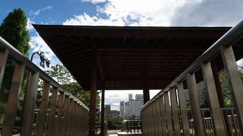 20200810170435_IMG_7319