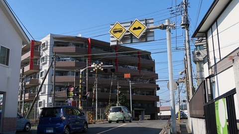 20190525153855_IMG_2465