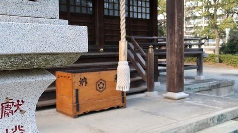 20190210140000_IMG_0920