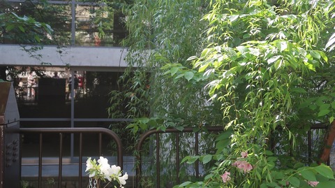 20220430150849_IMG_3646