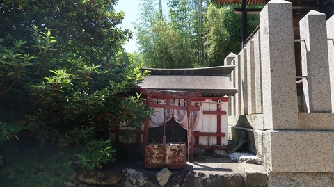 20220701141724_IMG_4729