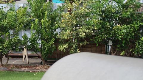 20221126131624_IMG_7075