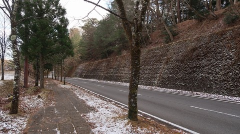 20211219142351_IMG_2506