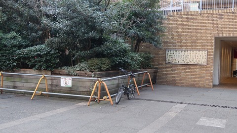 20210213120800_IMG_0414