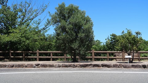 20220702134226_IMG_4840