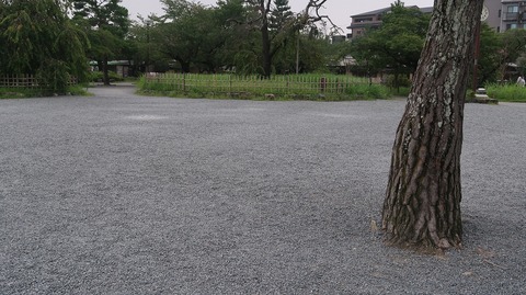 20200808110851_IMG_7098