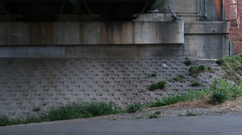 20210404182700_IMG_1042