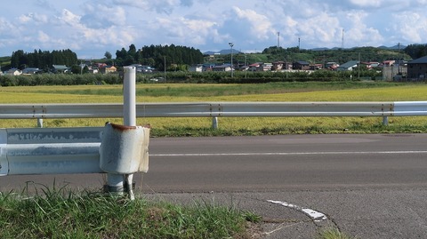 20200920134849_IMG_8057