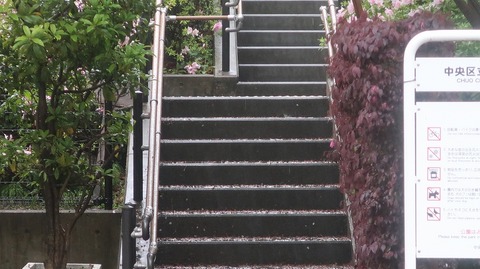 20230415170507_IMG_7961