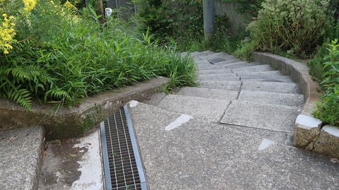 20190525160433_IMG_2470