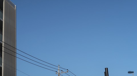 20220410165755_IMG_3400