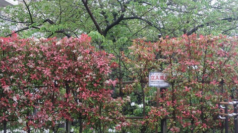 20230415164130_IMG_7935