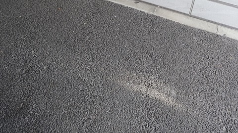 20221126110021_IMG_6978