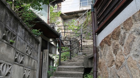 20220925112513_IMG_6533