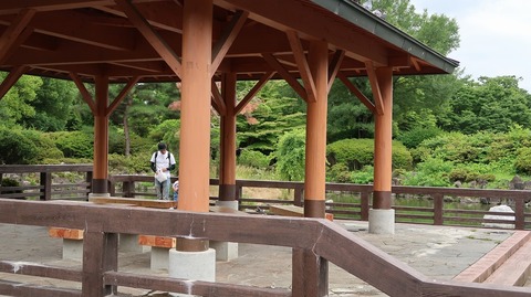 20190714150220_IMG_2931