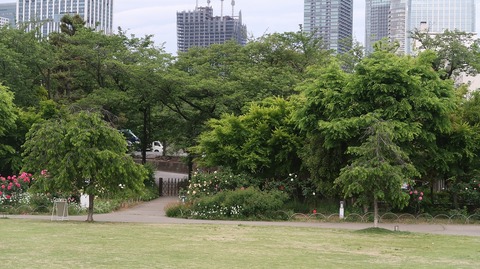 20220508181510_IMG_4233