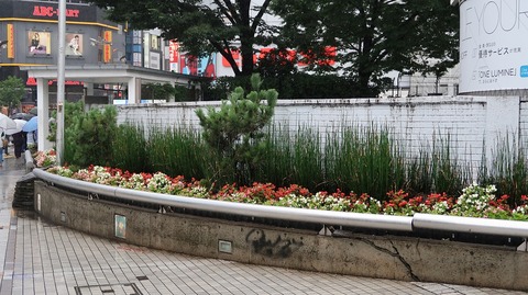 20190707154829_IMG_2751