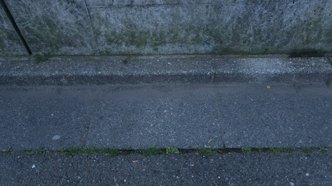 20220515190703_IMG_4309