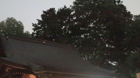 20220515193809_IMG_4339