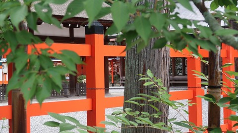 20220813095355_IMG_5807