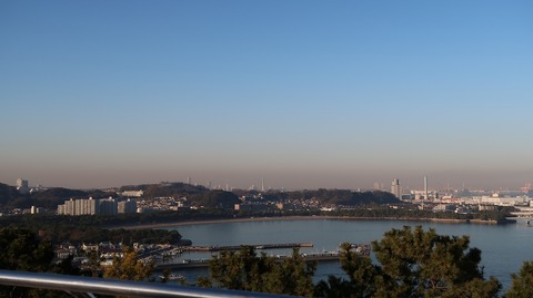 20210206163840_IMG_0258