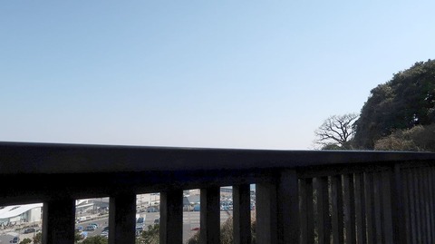 20190223115542_IMG_1016