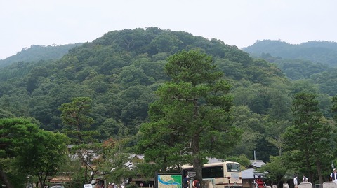 20200808110632_IMG_7095