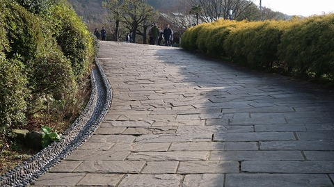 20200222155726_IMG_5919