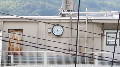 20220925110130_IMG_6526