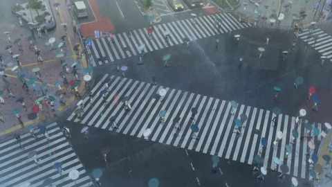 20190721173622_IMG_3079_