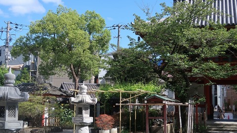 20230811151259_IMG_8996