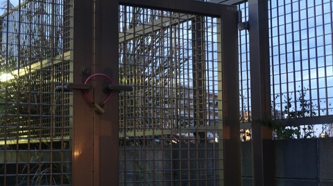 20221127165145_IMG_7144