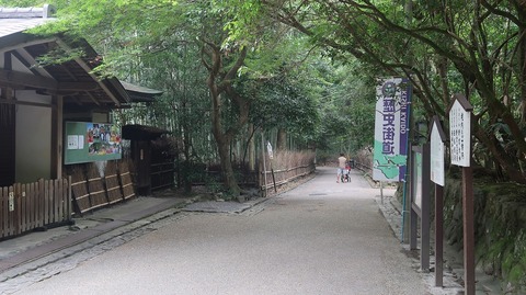 20200808101424_IMG_7061