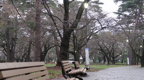 20211031162050_IMG_2304