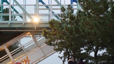 20211205164615_IMG_2398