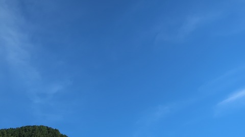 20200912084924_IMG_7642