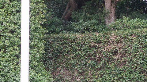 20221217125149_IMG_7429