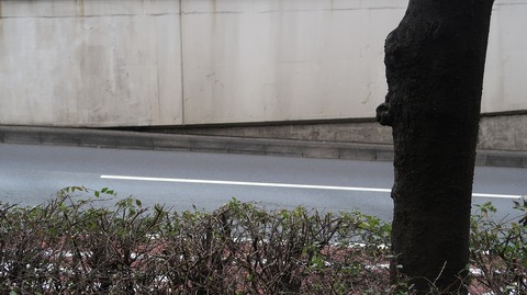 20231029113713_IMG_0307