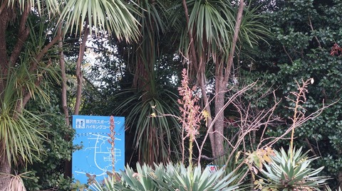 20221217122857_IMG_7411